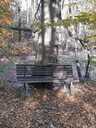 Filename=Michael_KT2021_10.jpg
Filesize=511KiB
Dimensions=1200x1599
Date added=Nov 02, 2024 Michael_KT2021_10.jpg